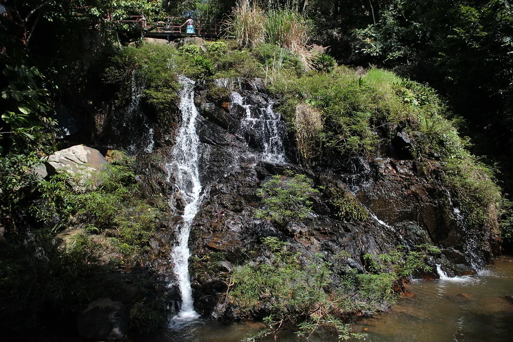 Waterfall in Yanoda Rainforest, Baoting; a small distant visitor is not identifiable