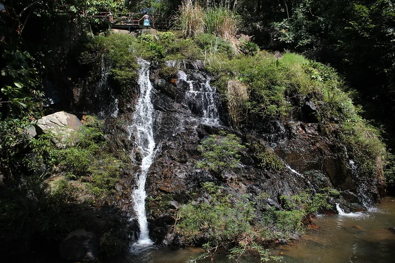 Waterfall in Yanoda Rainforest, Baoting; a small distant visitor is not identifiable
