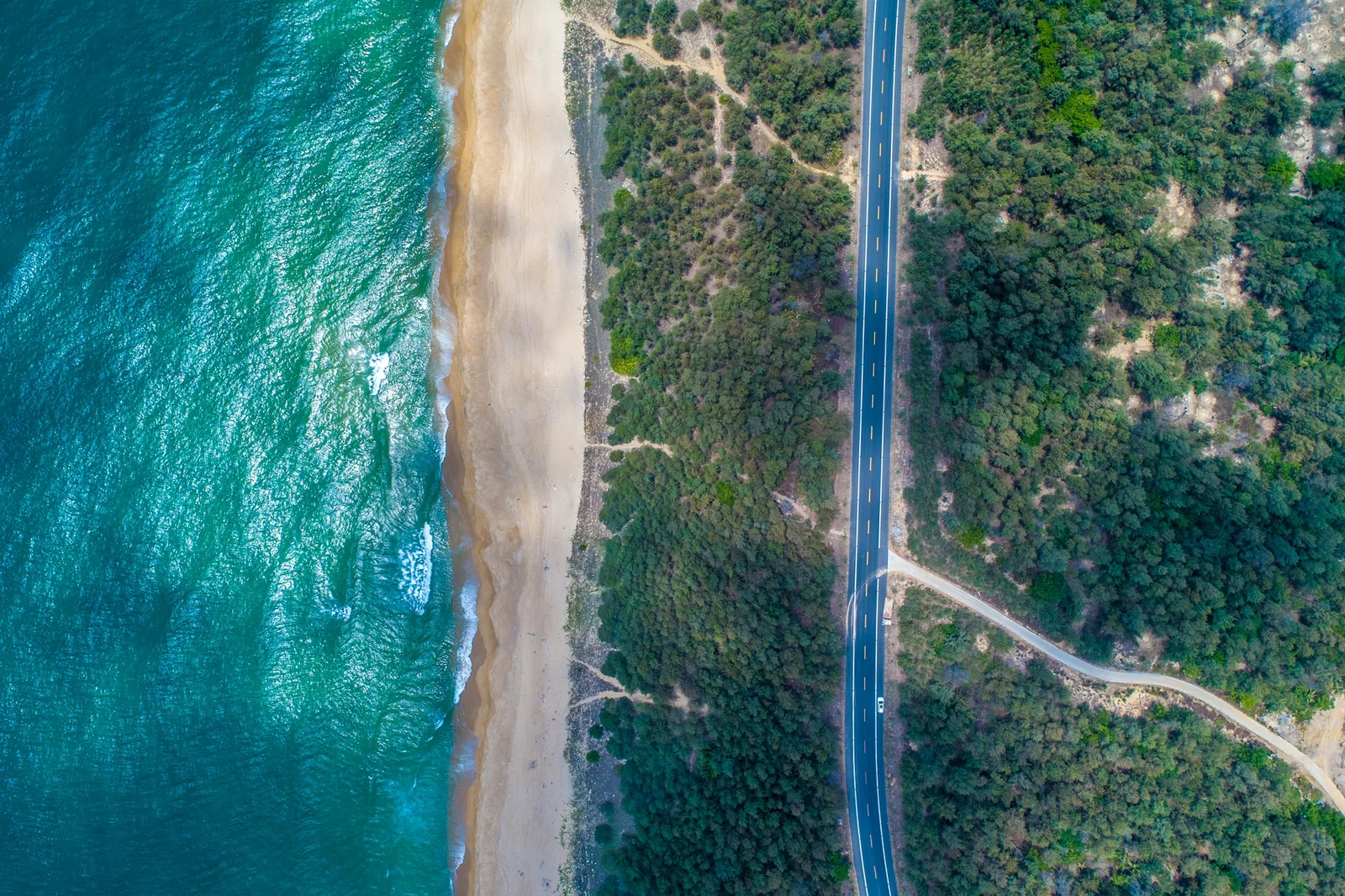Coastal road bordered by trees and water in Wanning