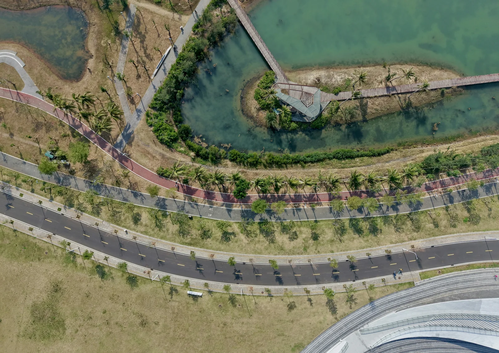 Curved road through tropical greenery in Haikou; illustrative destination photography, not a Weiyimeitu vehicle or client image