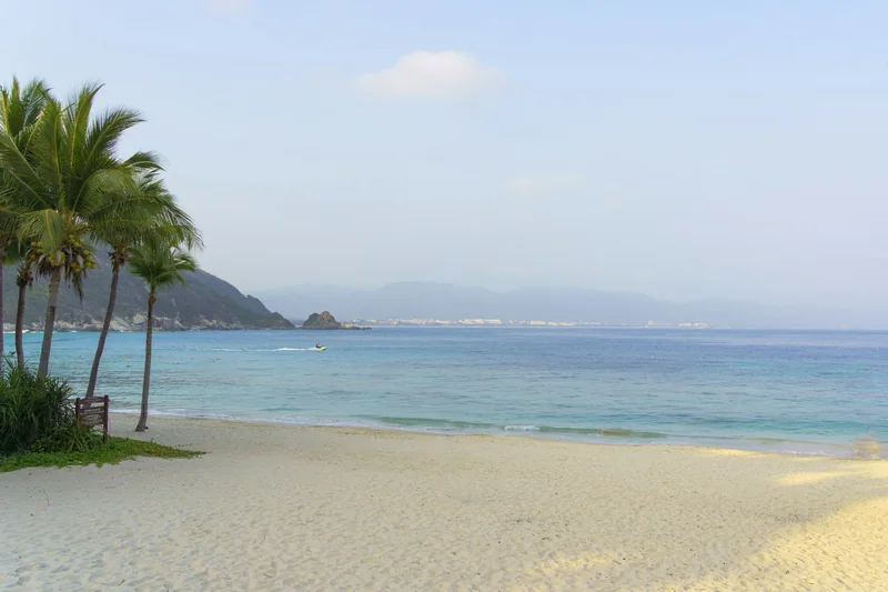 Palm-lined coast and blue sea at Taiyang Bay, Sanya